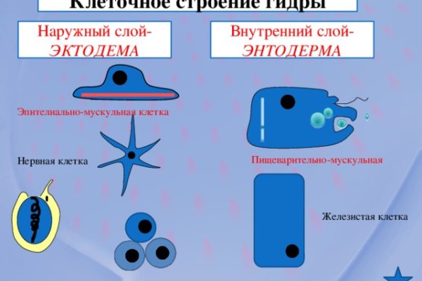 Не получается зайти на кракен