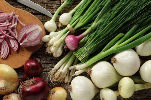 Kraken onion link